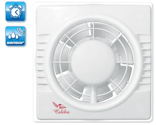 COLIBRI FLIGHT 100 TH